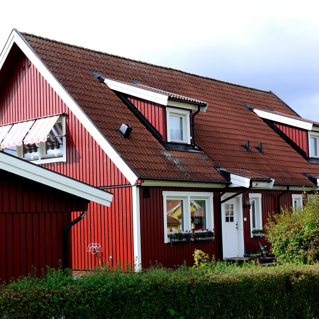 25539779 j0Gvx 1 641x641