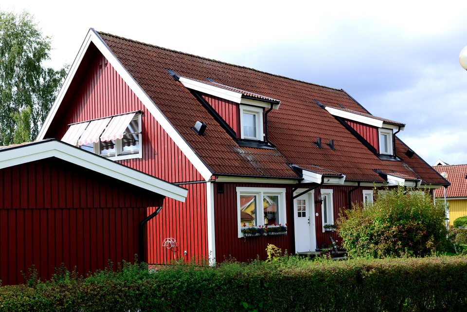 25539779 j0Gvx 1.jpg