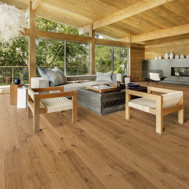 833e4fbdc700f64e227e0280a6c07cf9 1 613x613